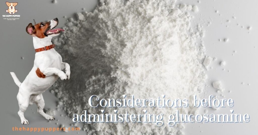 Considerations for glucosamine administration