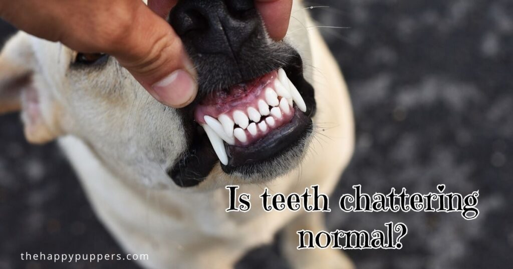 Is teeth chattering normal