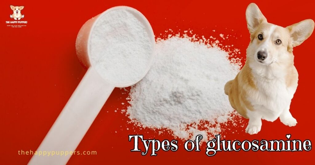 Types of glucosamine