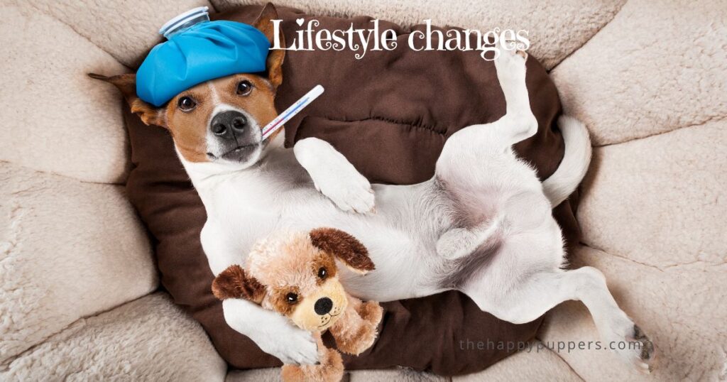 Lifestyle changes