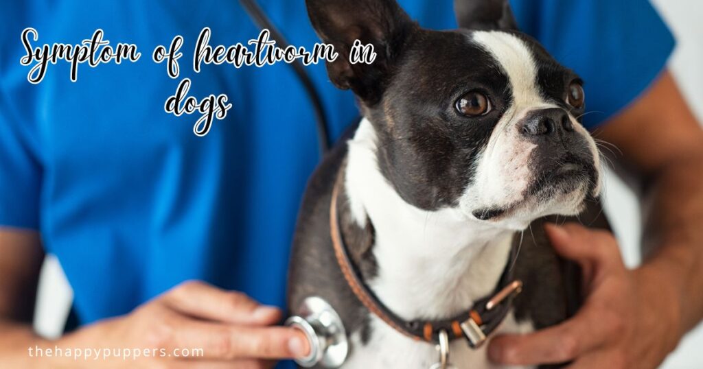 Symptom of heartworm in dogs