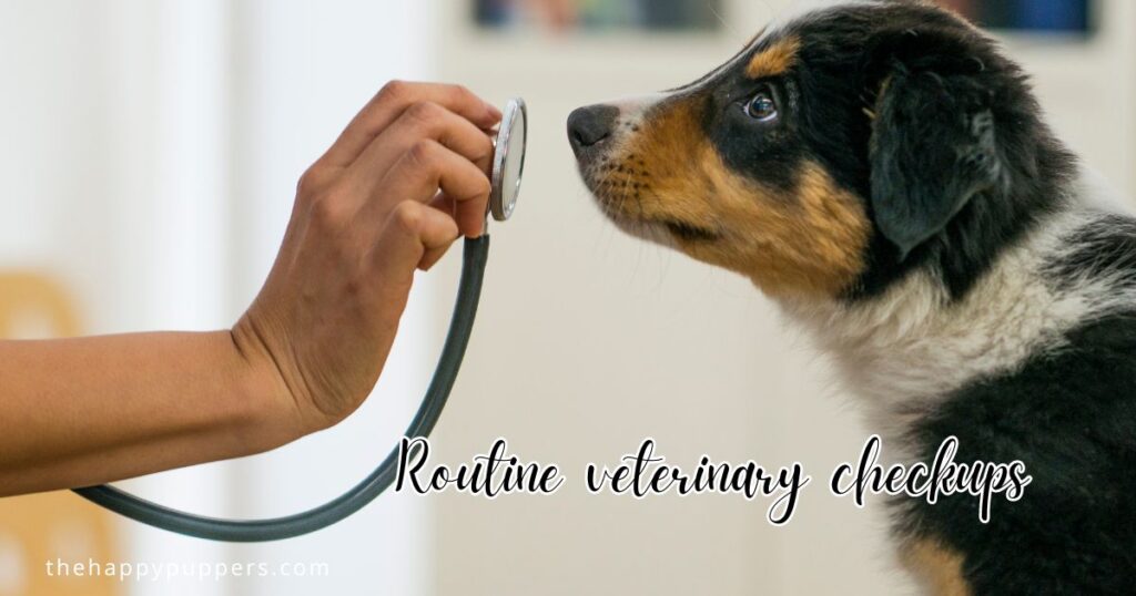 Routine veterinary checkups