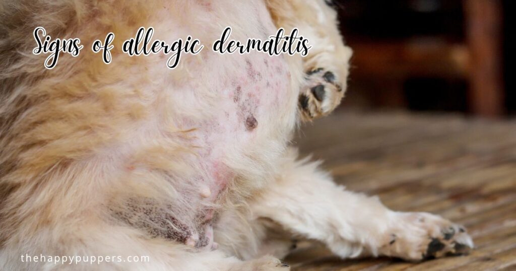 Signs of allergic dermatitis