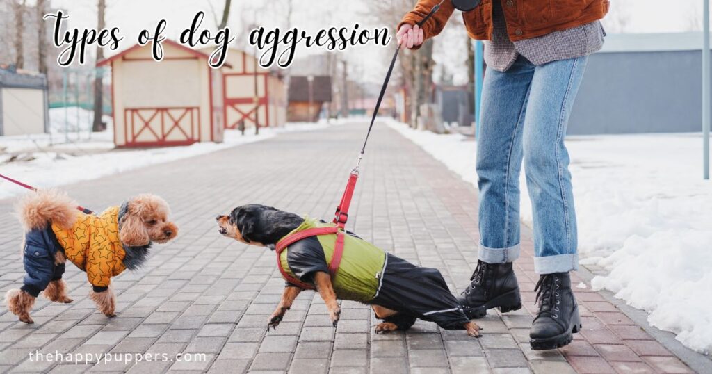 Types of dog aggression