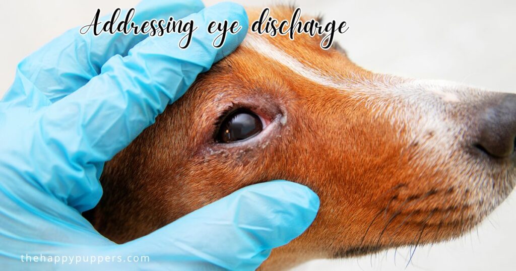 Addressing eye discharge