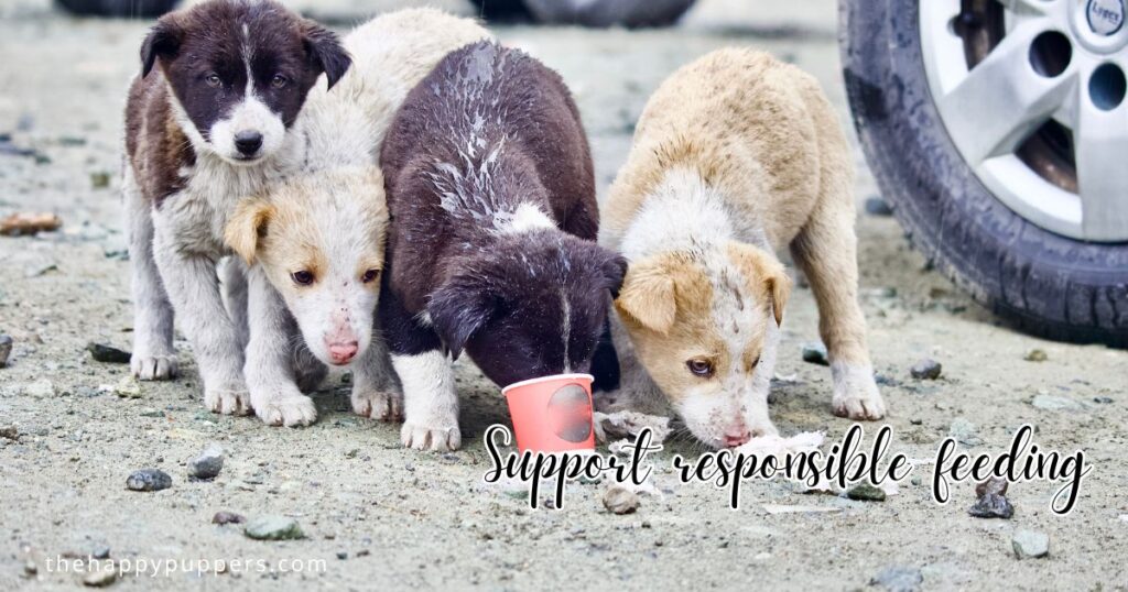 Support responsible feeding