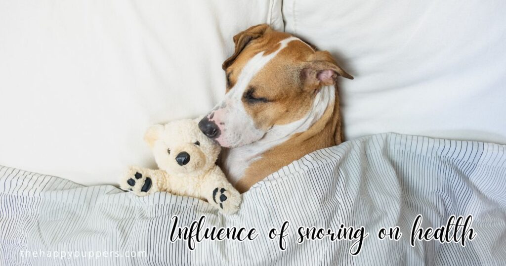 Influence of snoring on health