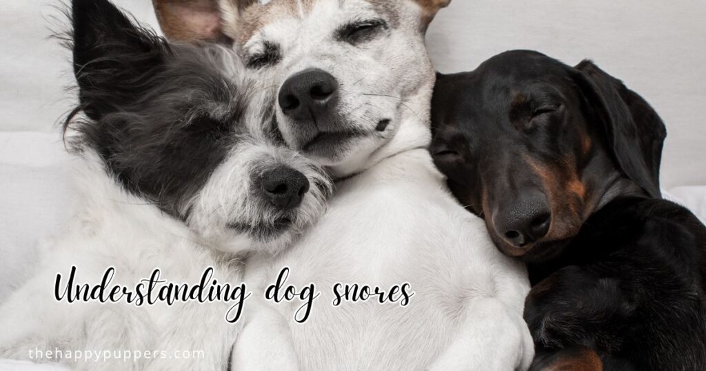 Understanding dog snores